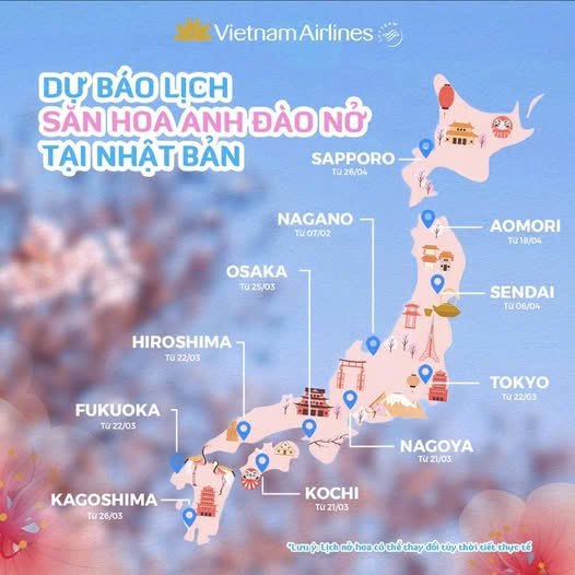 tin tức - khuyến mãi